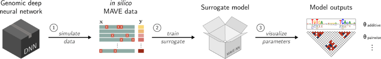 SQUID Computational Pipeline