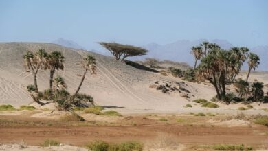 Red sandstone rock formations rising from desert valley floor under clear blue sky
