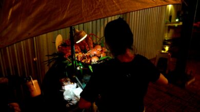Local street food vendor preparing traditional dishes at outdoor market stall