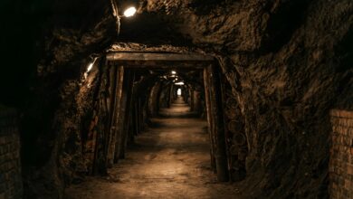 Ancient stone tunnel carved into rock with arched ceiling and narrow passageway