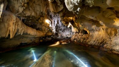 Crystal clear cenote water in underground limestone cave with natural light filtering through opening