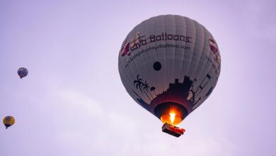 Hot air balloon floating over scenic landscape during sunrise flight