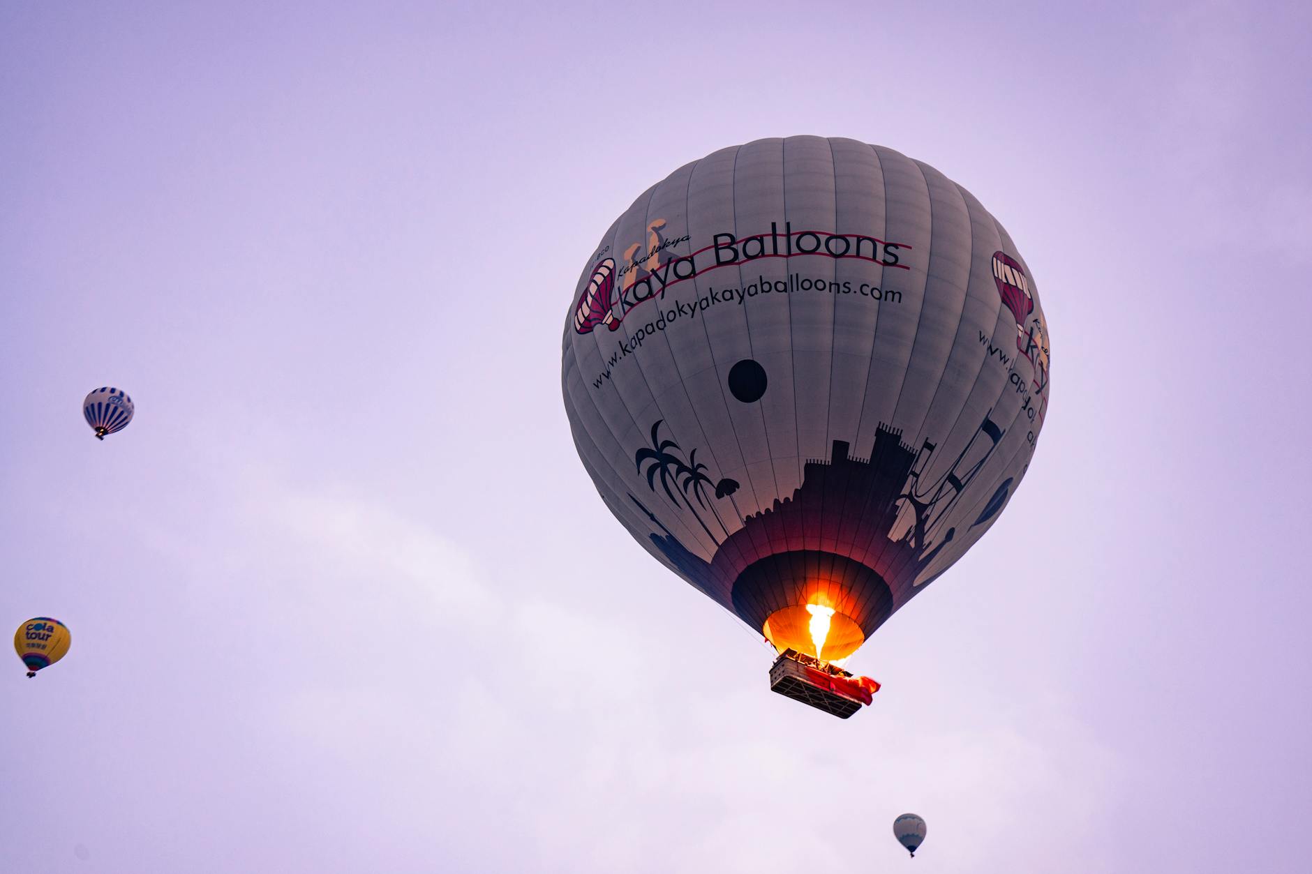 Hot air balloon floating over scenic landscape during sunrise flight