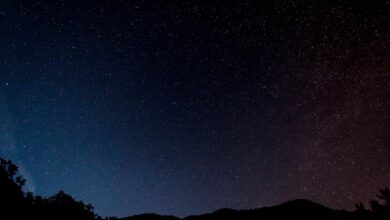 Starry night sky over rural landscape showing clear celestial views