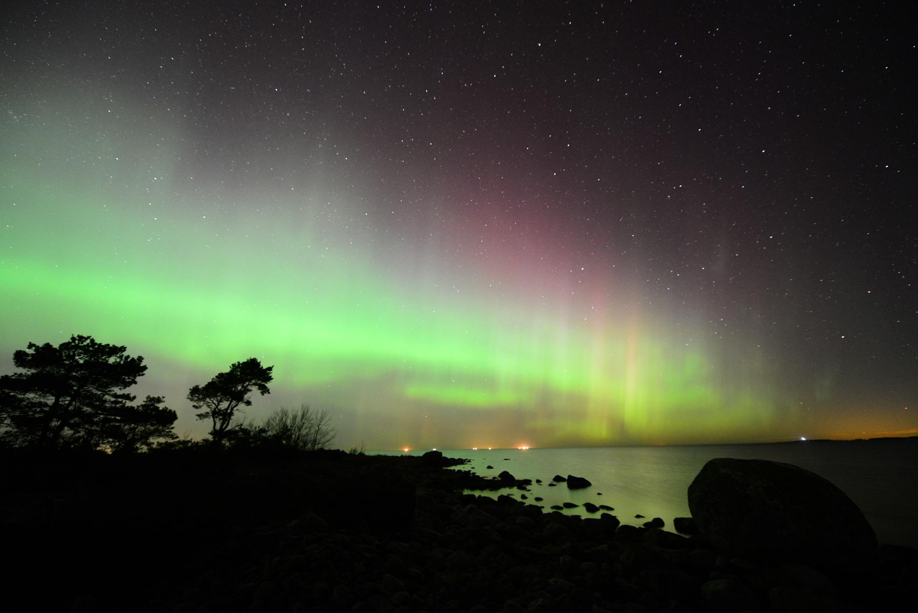 Spectacular green and purple aurora borealis dancing across dark night sky above silhouetted treeline