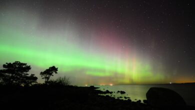 Aurora borealis dancing across dark winter sky with mountain silhouettes