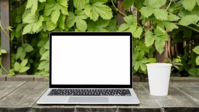 Digital nomad working on laptop in tropical outdoor setting with palm trees