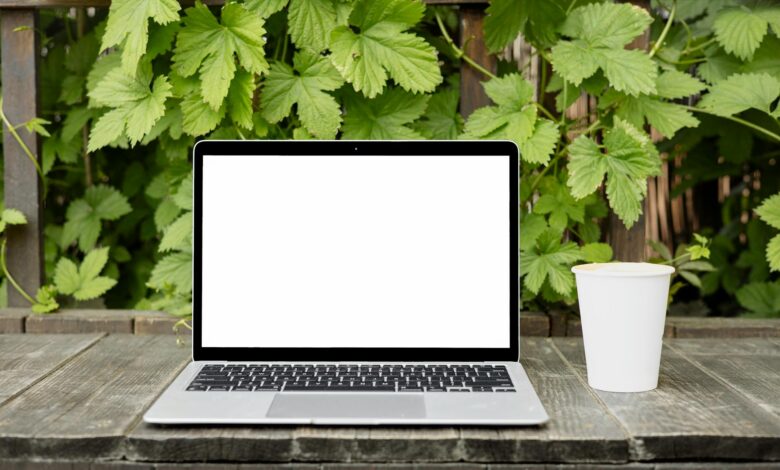Digital nomad working on laptop in tropical outdoor setting with palm trees