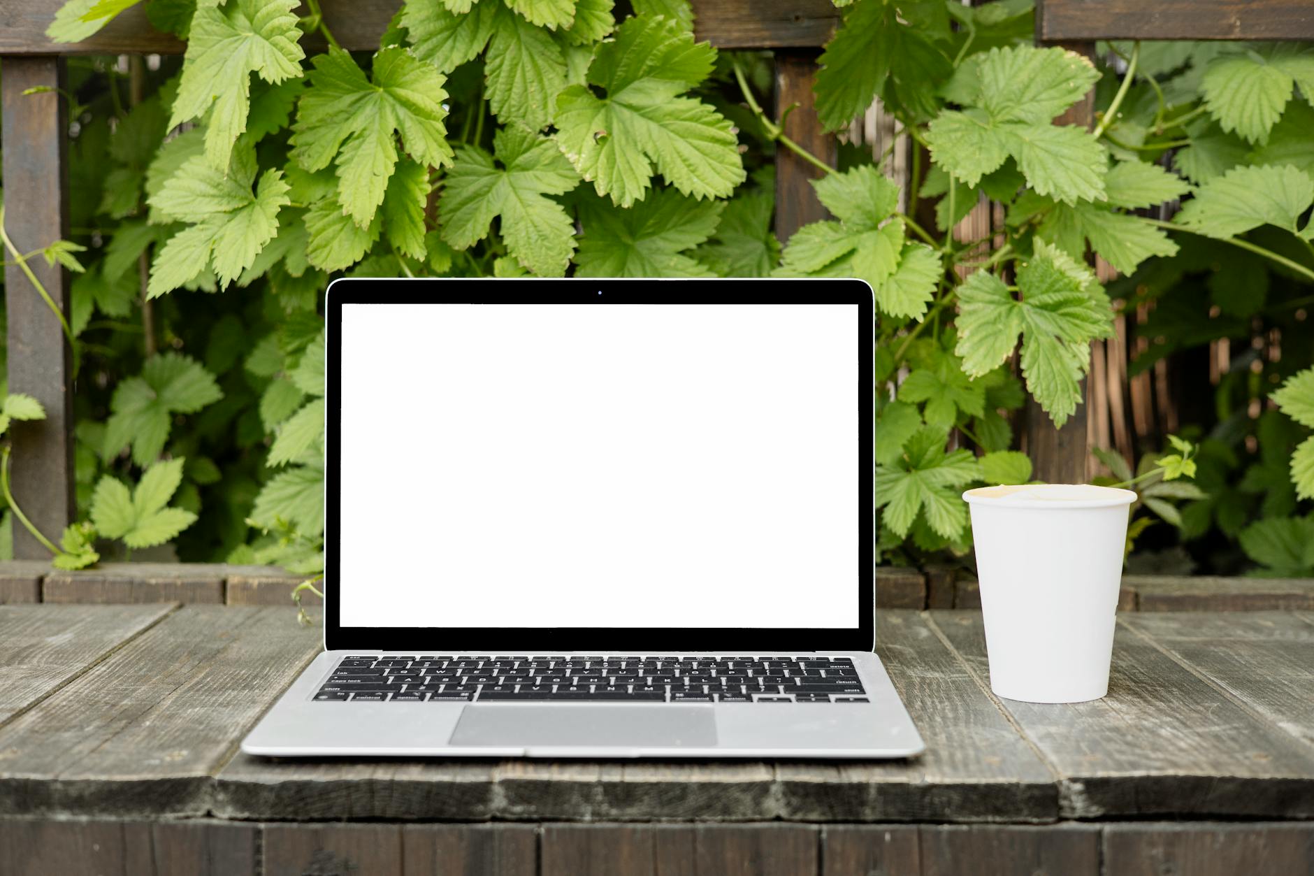 Digital nomad working on laptop in tropical outdoor setting with palm trees