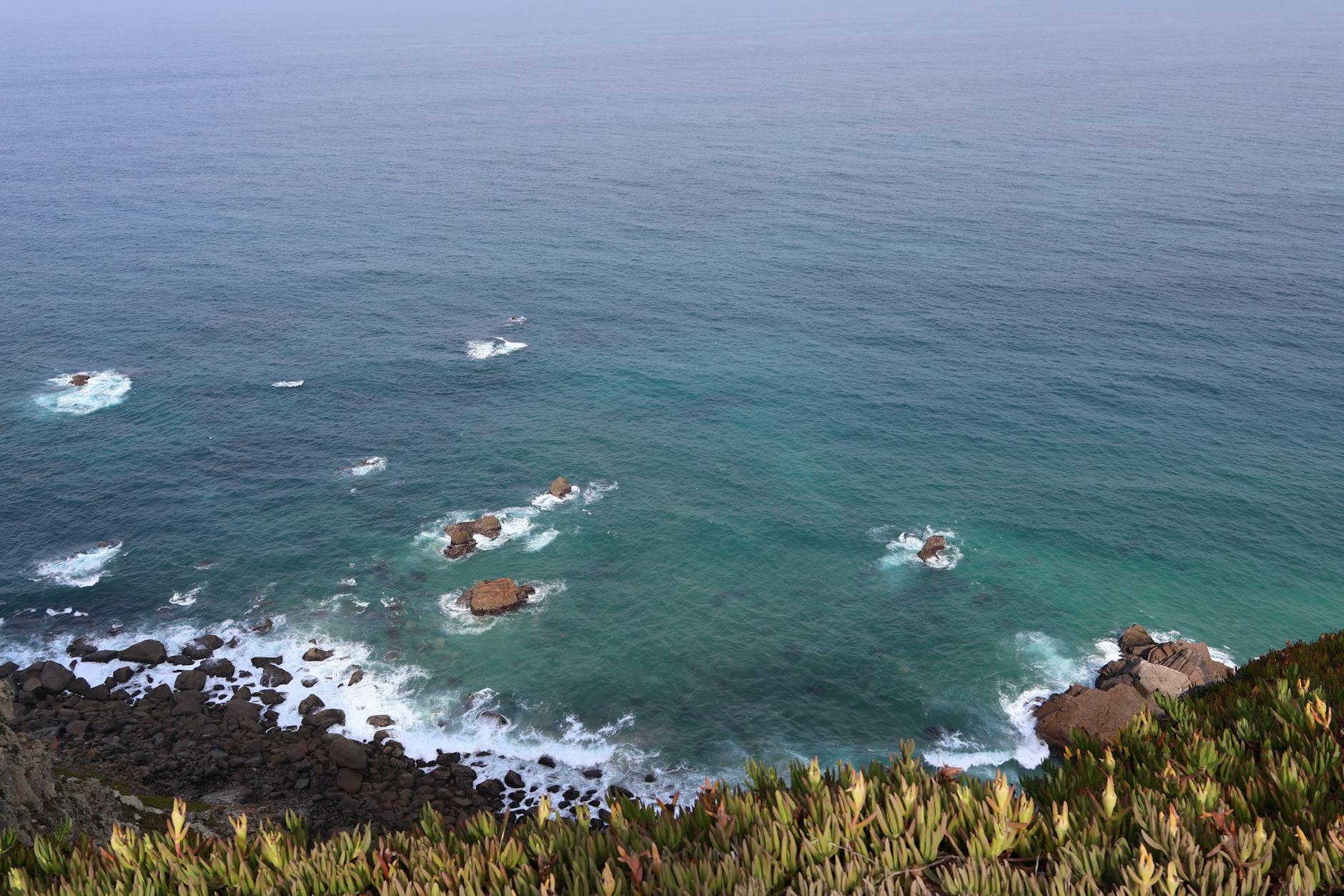 Rocky ocean coastline representing the Pacific Coast territories where Indigenous communities share marine harvesting traditions