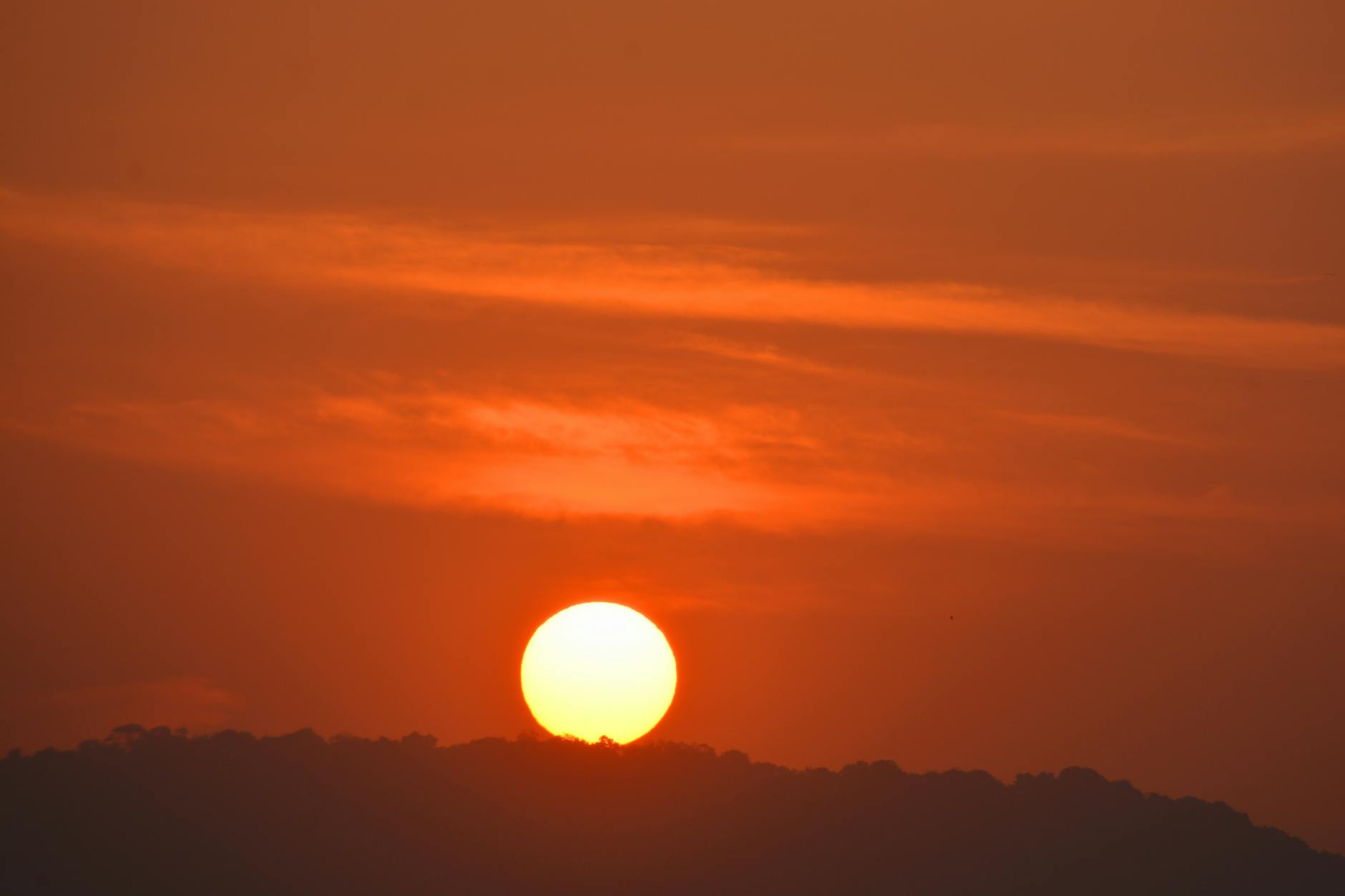 Person walking outdoors in bright morning sunlight