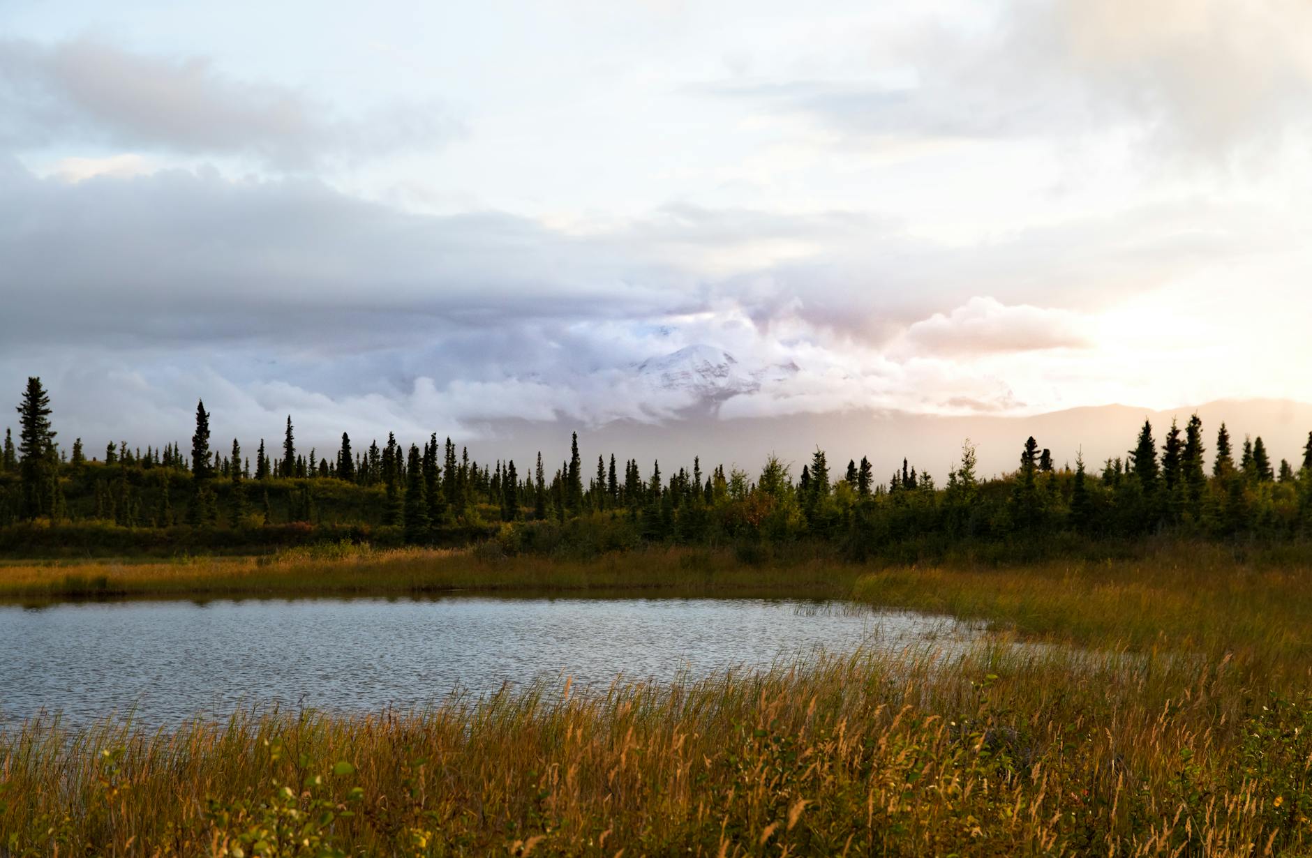 Rustic wooden lodge with warm lights glowing against snowy landscape under starry winter night sky