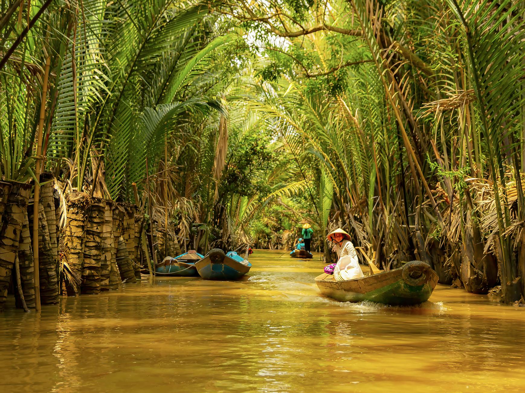 Scenic Mekong Delta waterway with traditional stilt houses and coconut palms along the banks