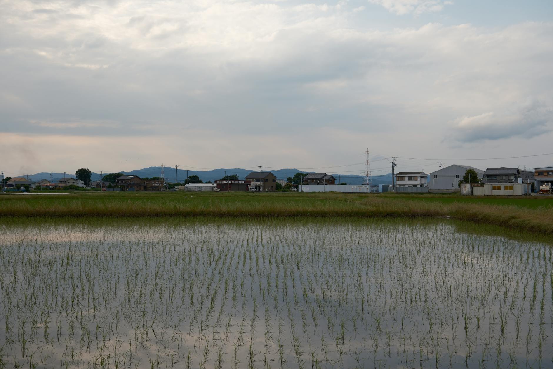 Scenic Japanese landscape view from train window during sunset