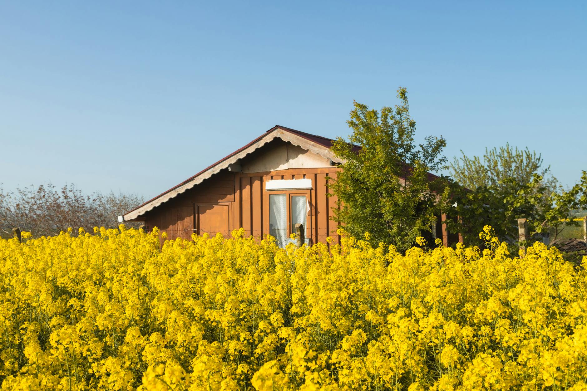 Traditional Colombian farmhouse accommodation nestled among coffee plants and mountain scenery