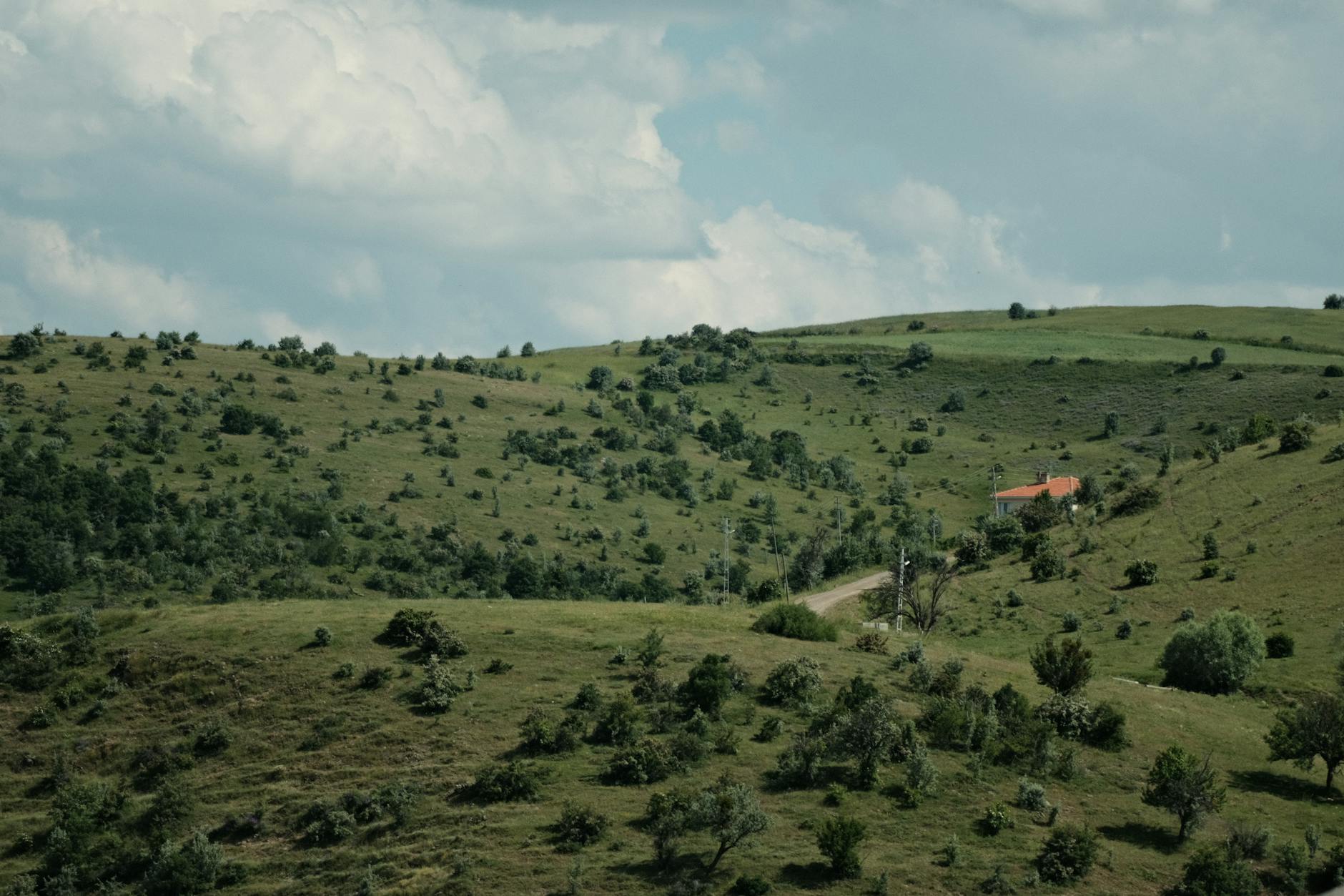Rolling hills and farmland in Bulgaria's rural Rose Valley region