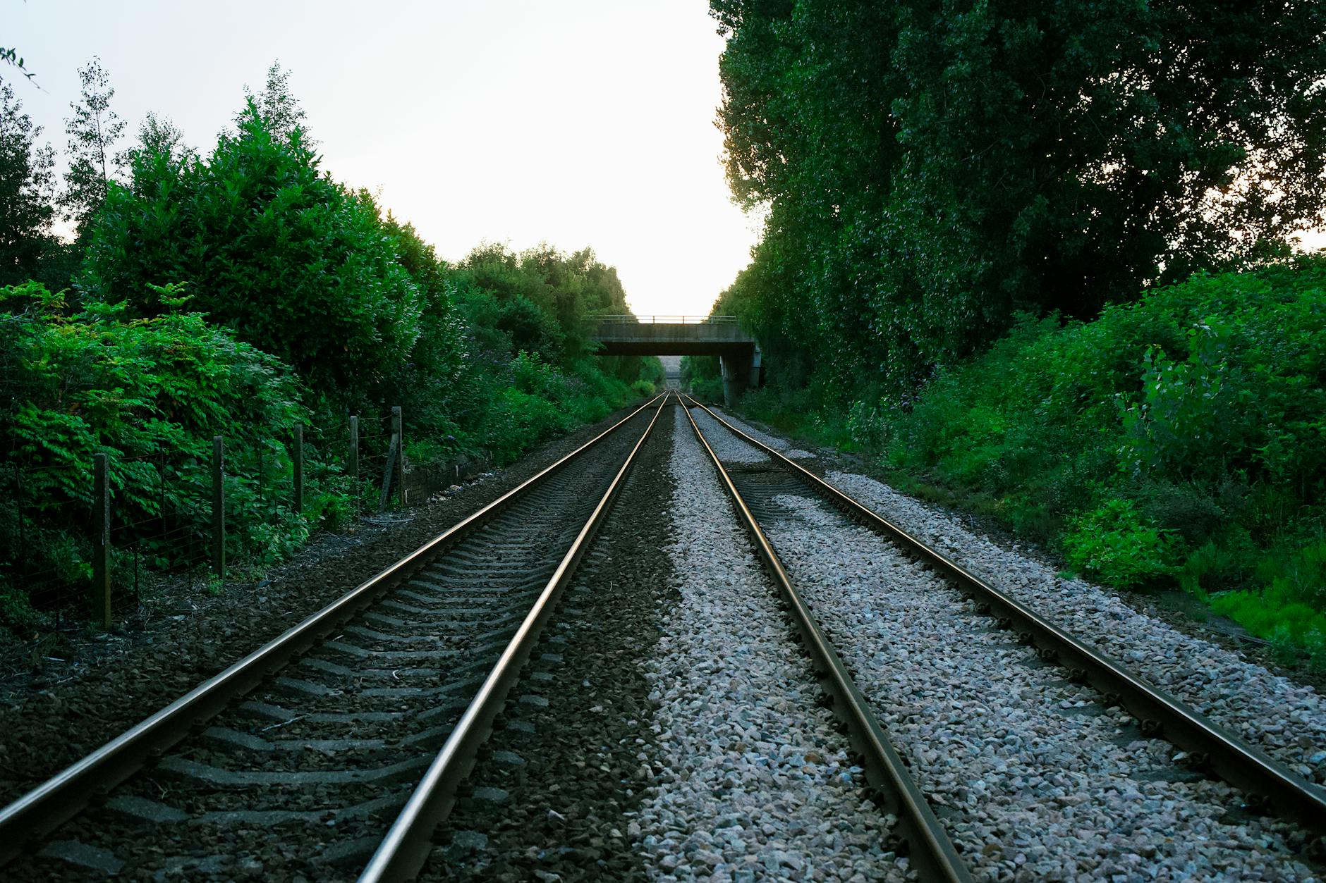 Railway tracks extending into the distance through natural landscape