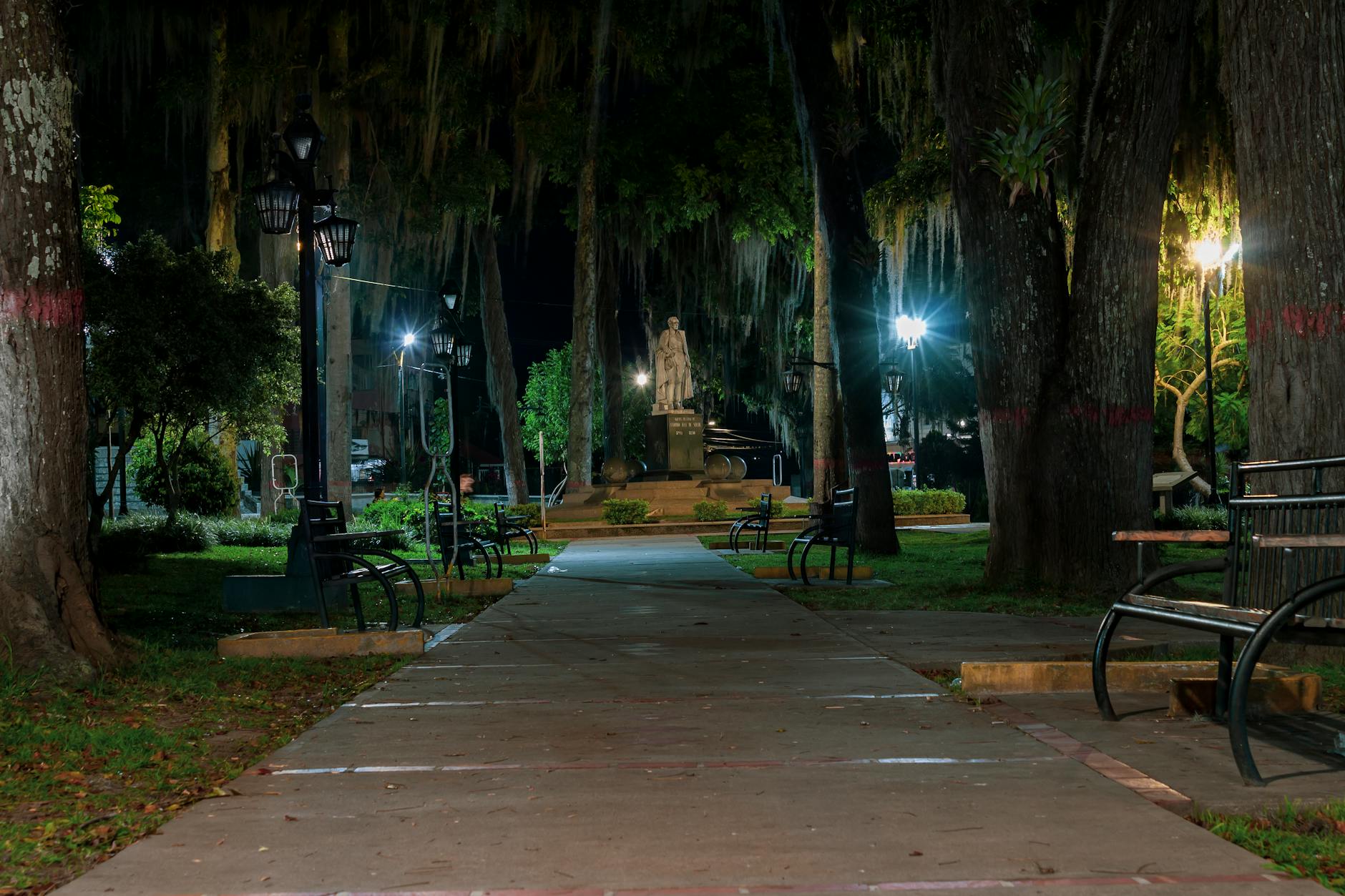 Urban park walkway with trees and benches providing professional outdoor meeting space