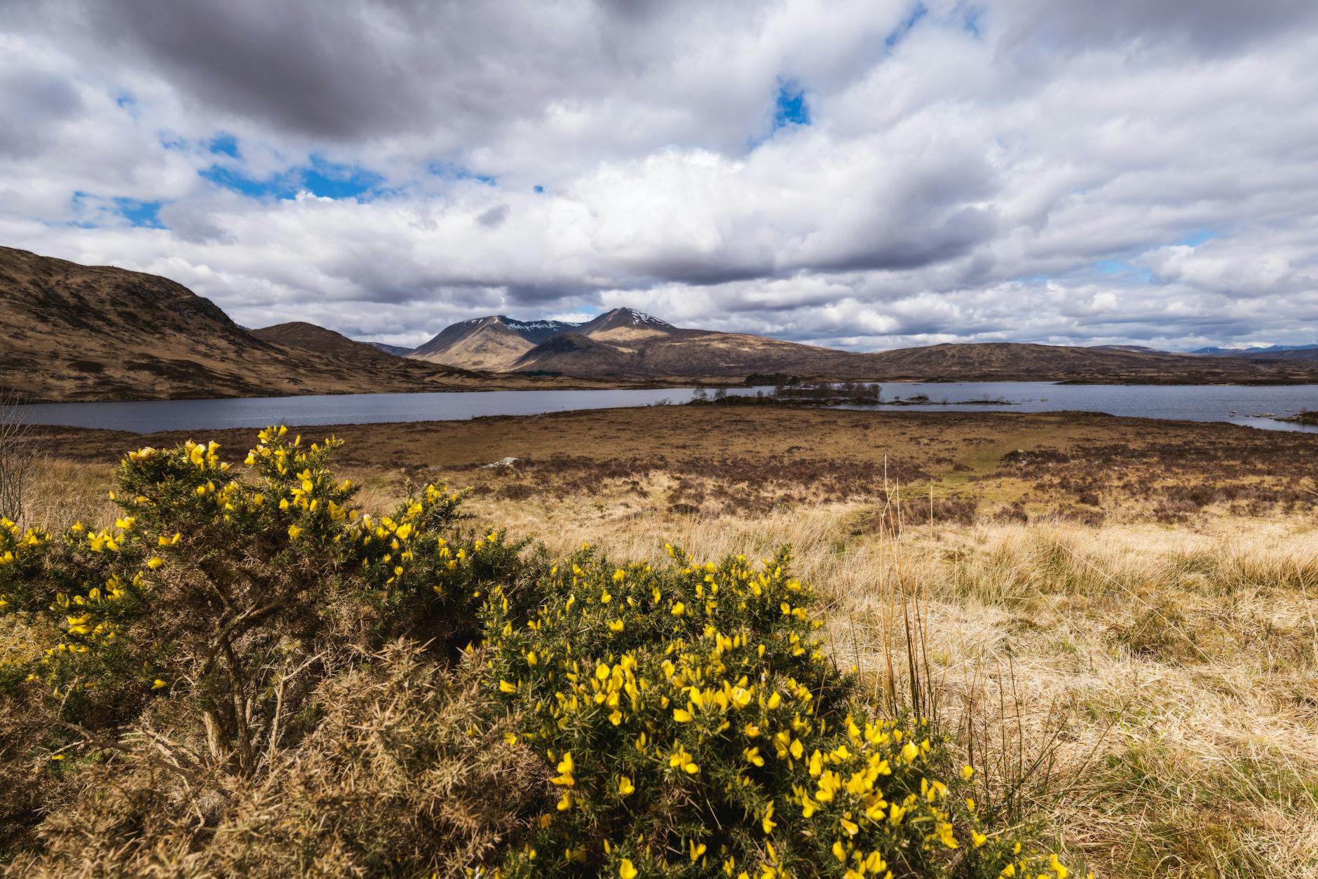 Panoramic view of Scottish Highland mountains and moorland under dramatic cloudy sky