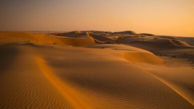 Vast rust-colored sand dunes stretching across the Wahiba Sands desert in Oman under a clear blue sky