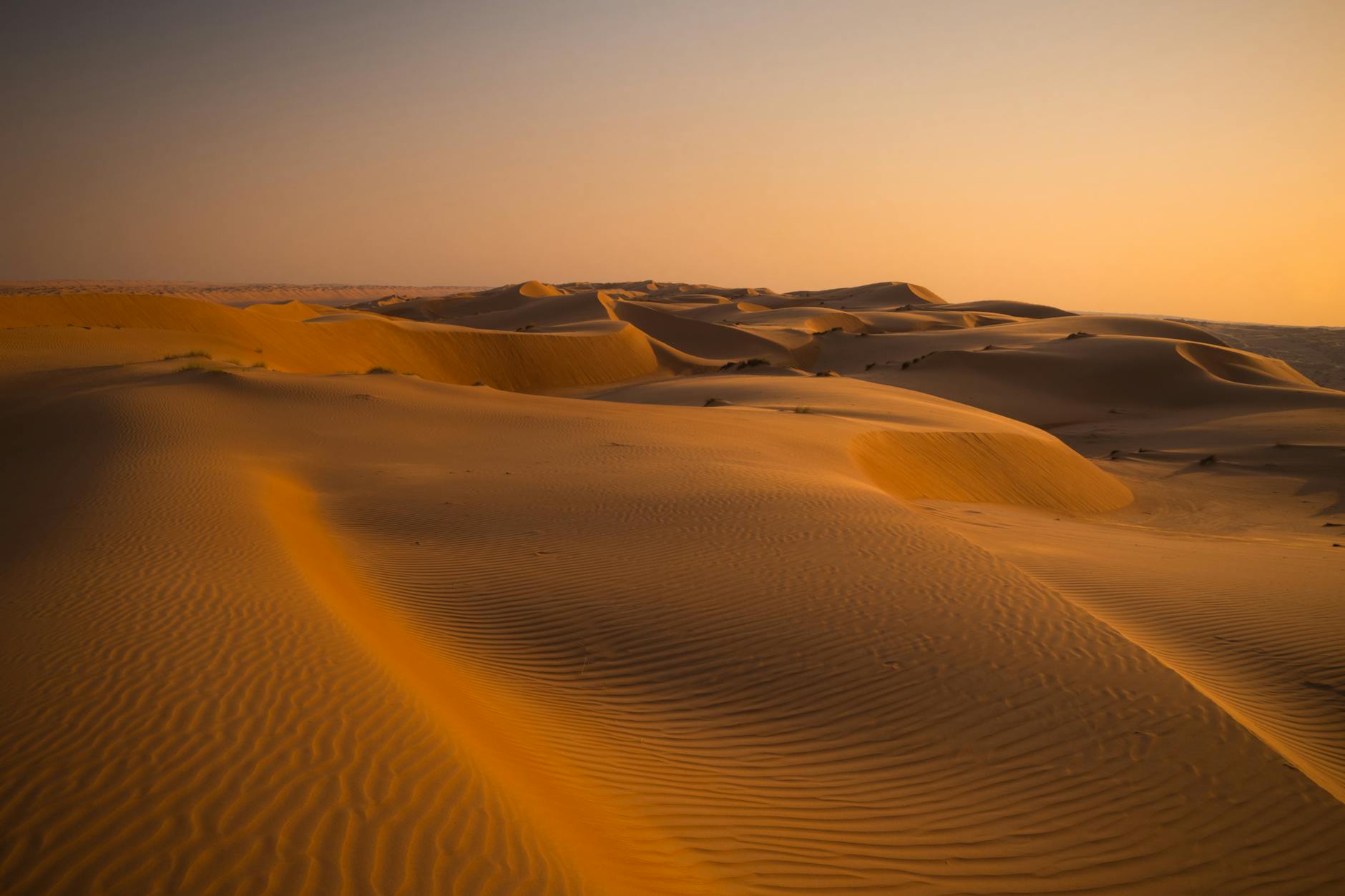 Vast rust-colored sand dunes stretching across the Wahiba Sands desert in Oman under a clear blue sky