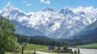 Wide view of snow-capped Tian Shan mountain peaks under a clear blue sky