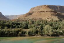 A palm oasis stretching along a river valley in southern Morocco with arid cliffs in the background
