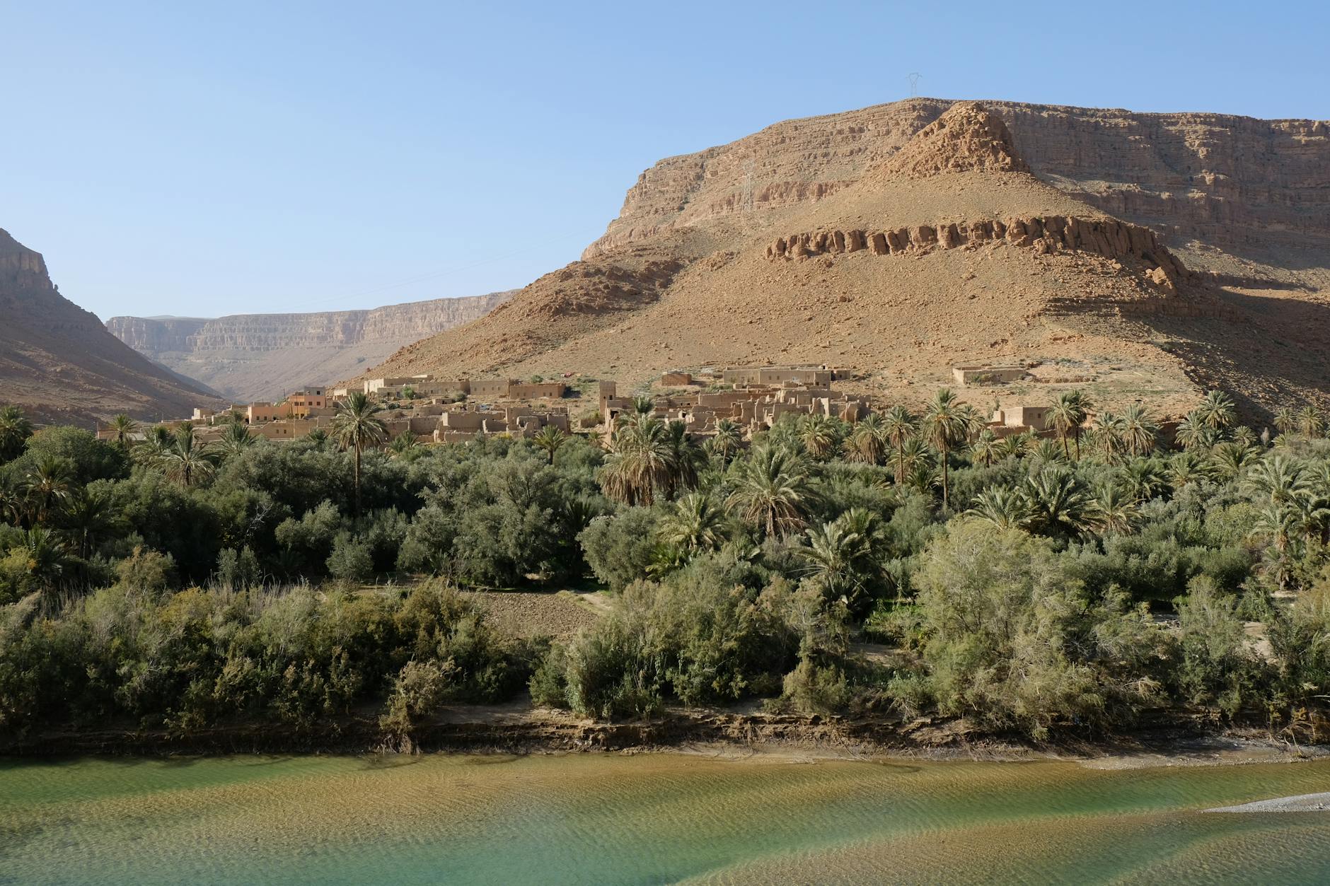 A palm oasis stretching along a river valley in southern Morocco with arid cliffs in the background