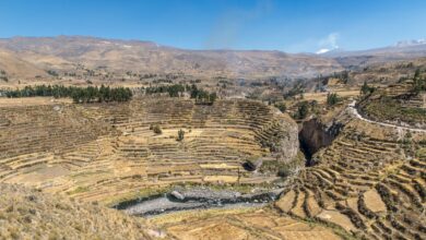 Aerial view of a deep canyon with terraced hillsides in the Peruvian Andes