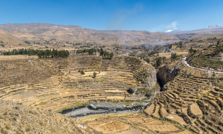 Aerial view of a deep canyon with terraced hillsides in the Peruvian Andes