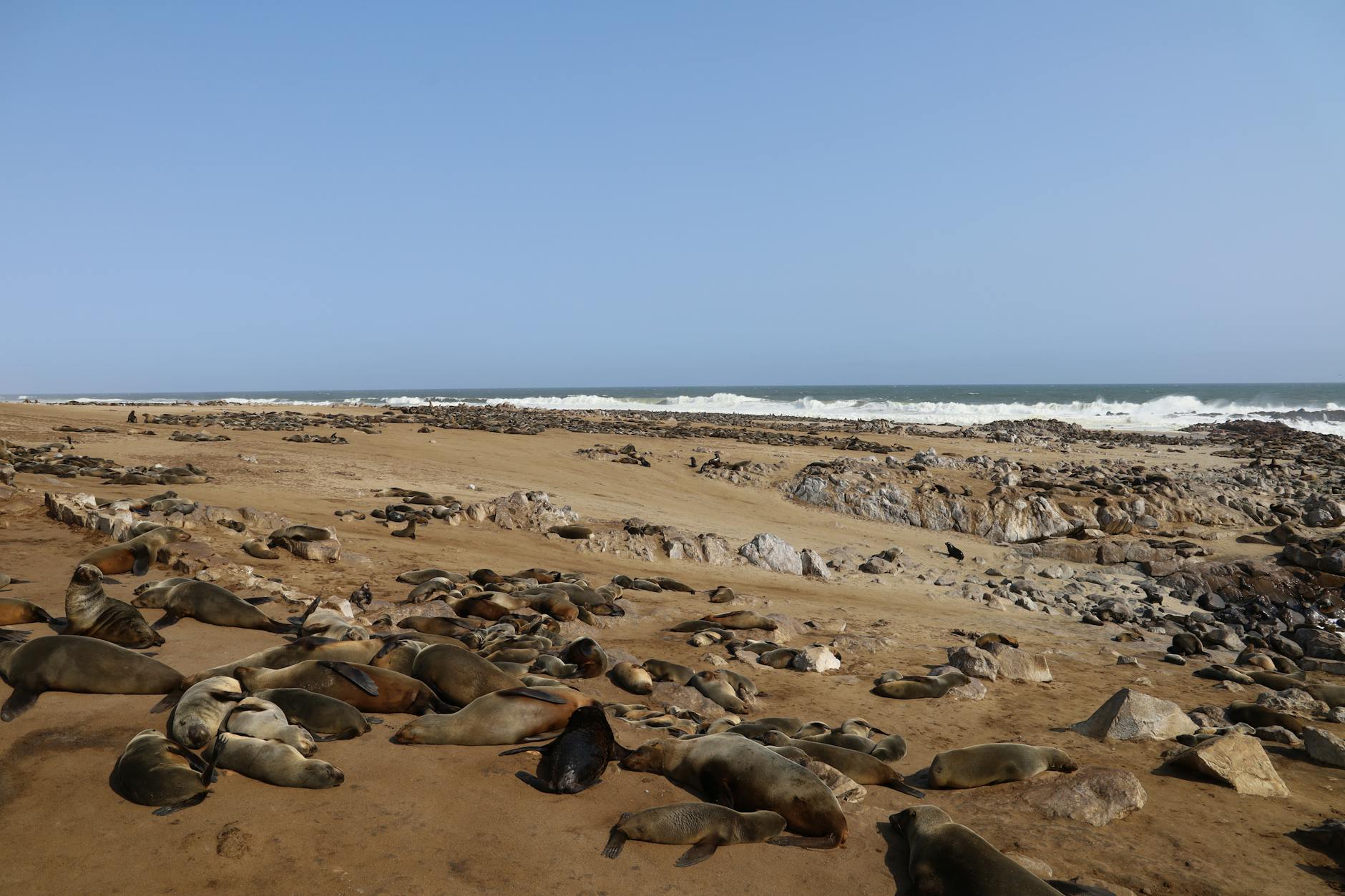 Foggy Atlantic coastline along Namibia's Skeleton Coast with desert sand meeting the ocean