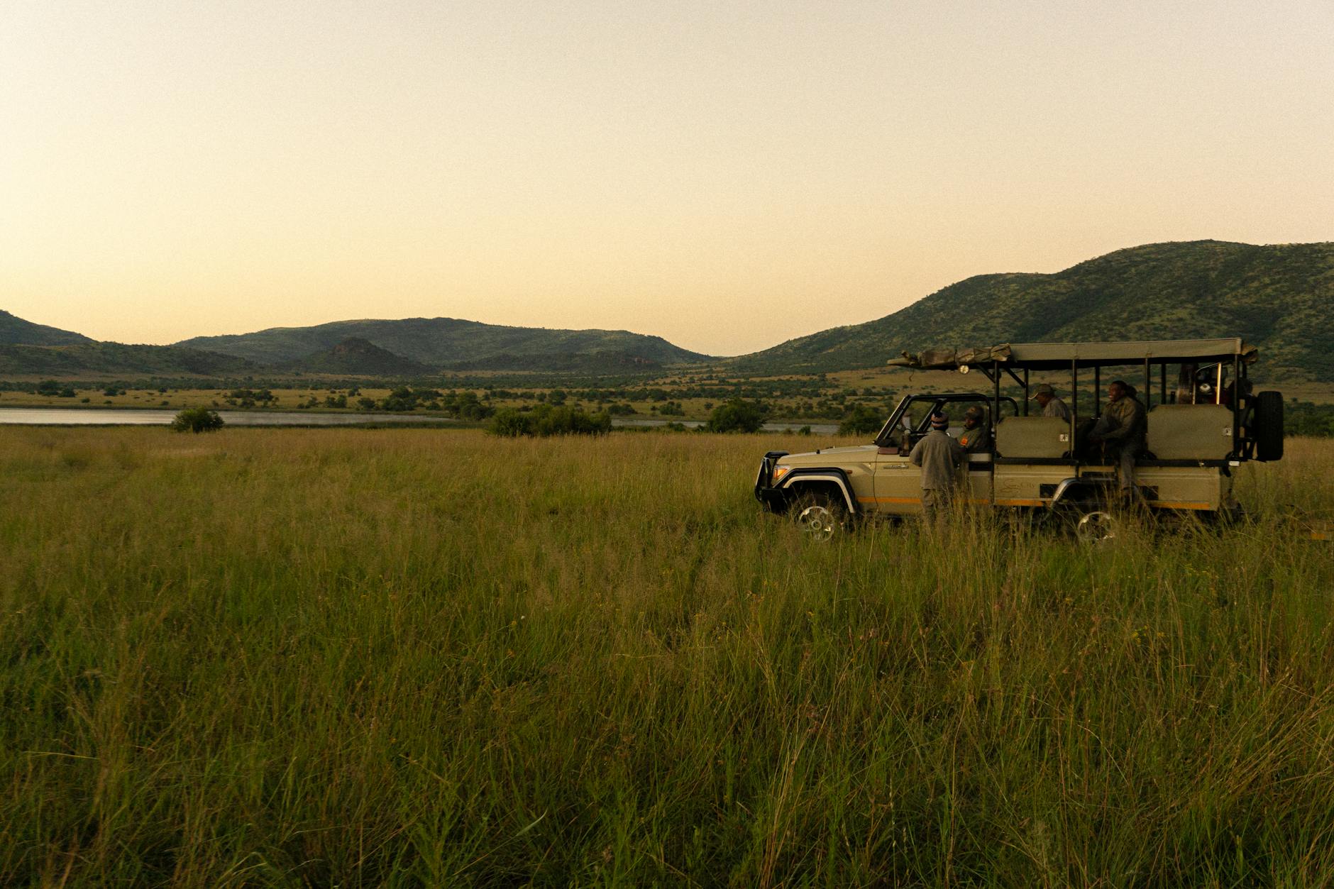 An upscale safari lodge surrounded by trees near an African national park