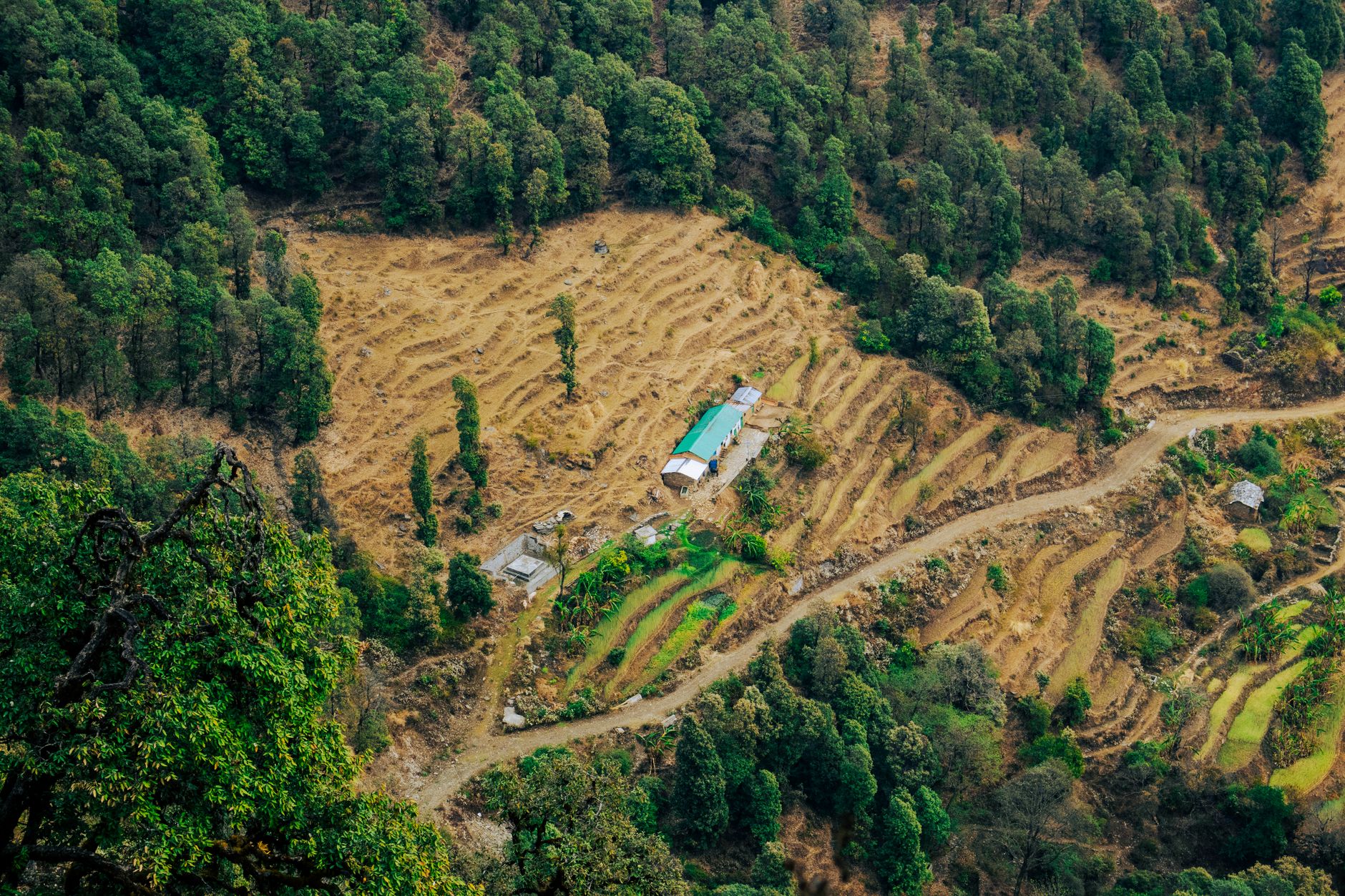 Terraced rice fields in a Himalayan valley with mountain peaks visible in the background