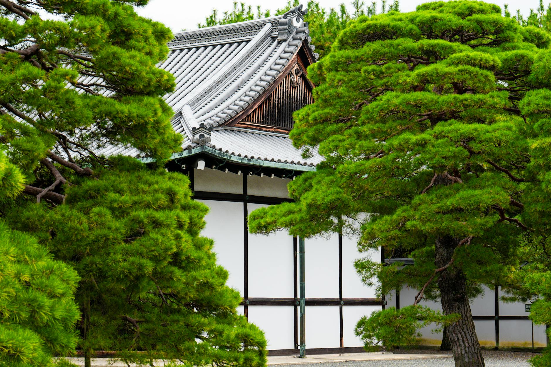 Peaceful Japanese temple grounds with traditional architecture and manicured gardens