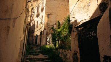 Narrow coral-stone alleyway in Zanzibar Stone Town with carved wooden doors and traditional architecture