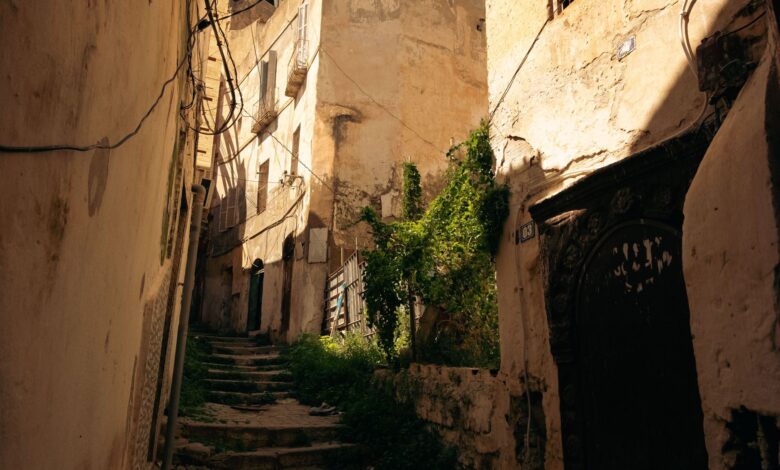 Narrow coral-stone alleyway in Zanzibar Stone Town with carved wooden doors and traditional architecture