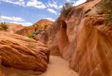 A rocky desert canyon trail winding through layered sandstone terrain in the Middle East