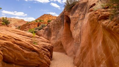 A rocky desert canyon trail winding through layered sandstone terrain in the Middle East