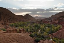 Narrow limestone canyon walls of Todra Gorge rising steeply above the canyon floor in Morocco