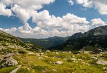 Lush alpine meadow with mountain peaks in the background under a partly cloudy sky