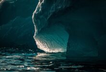 Large icebergs floating in calm arctic waters under a pale sky
