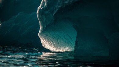 Large icebergs floating in calm arctic waters under a pale sky