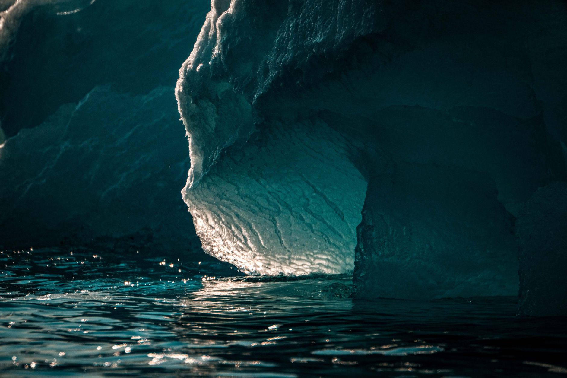 Large icebergs floating in calm arctic waters under a pale sky