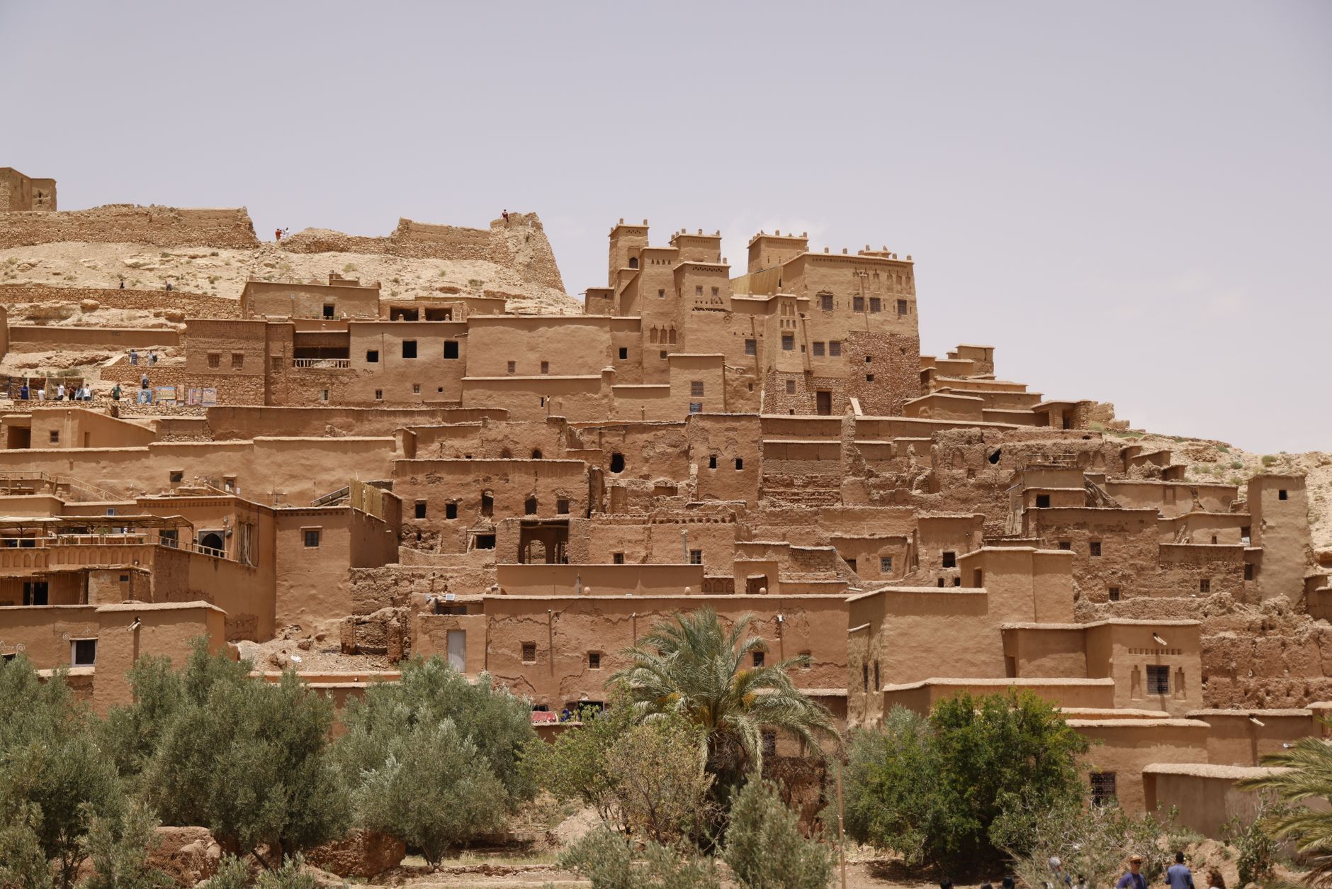 Ancient mud-brick kasbah in the Draa Valley with palm trees and rocky desert in the background
