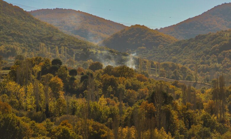Dense green forest with mist in Dilijan National Park, Armenia