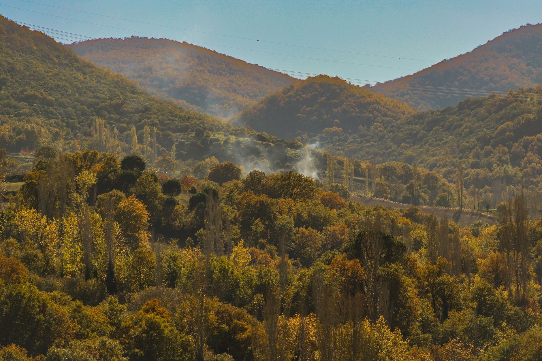 Dense green forest with mist in Dilijan National Park, Armenia
