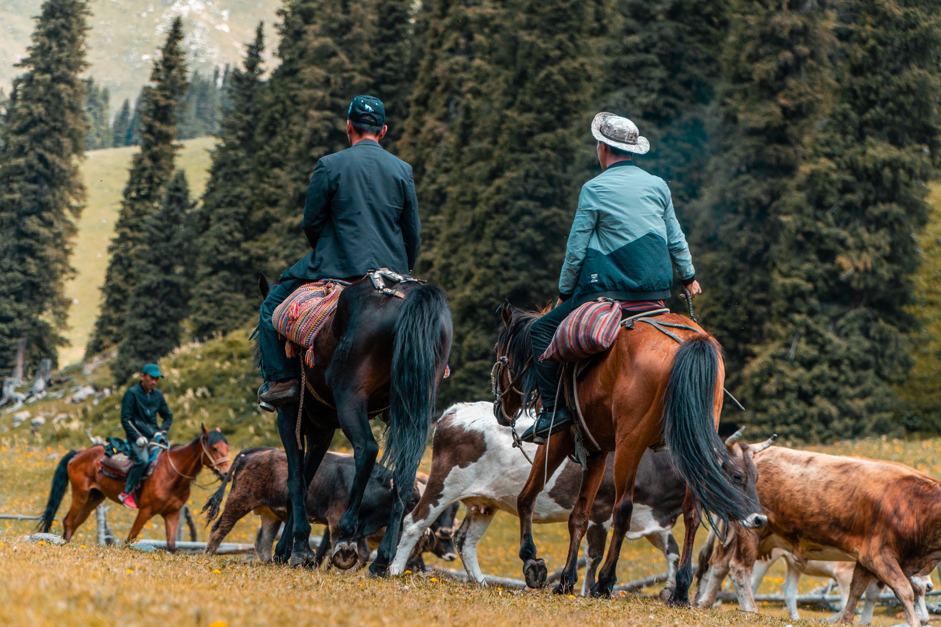 Rider on horseback moving across open grassland terrain