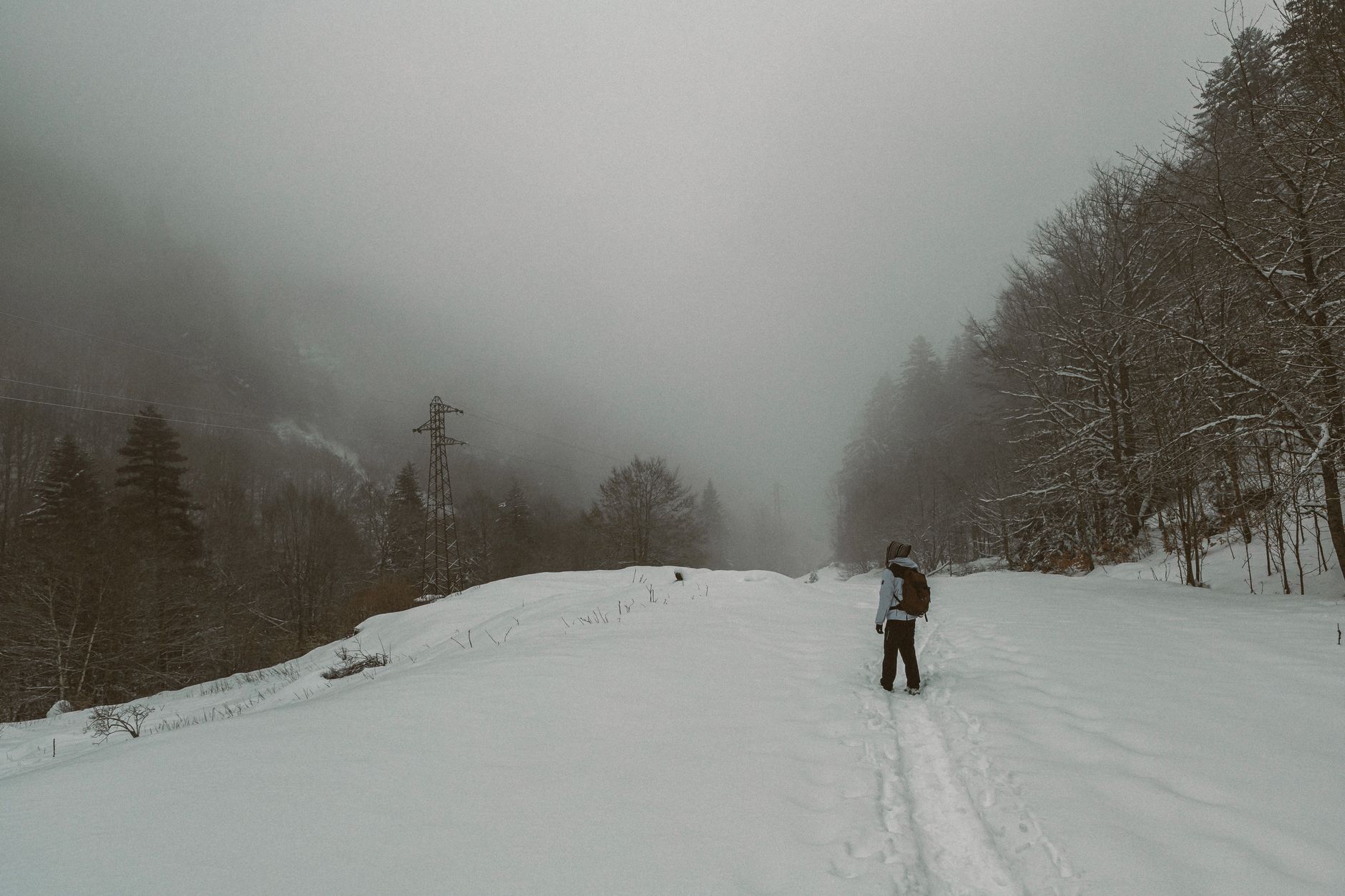 Hiker on a snow-edged trail overlooking a frozen fjord landscape
