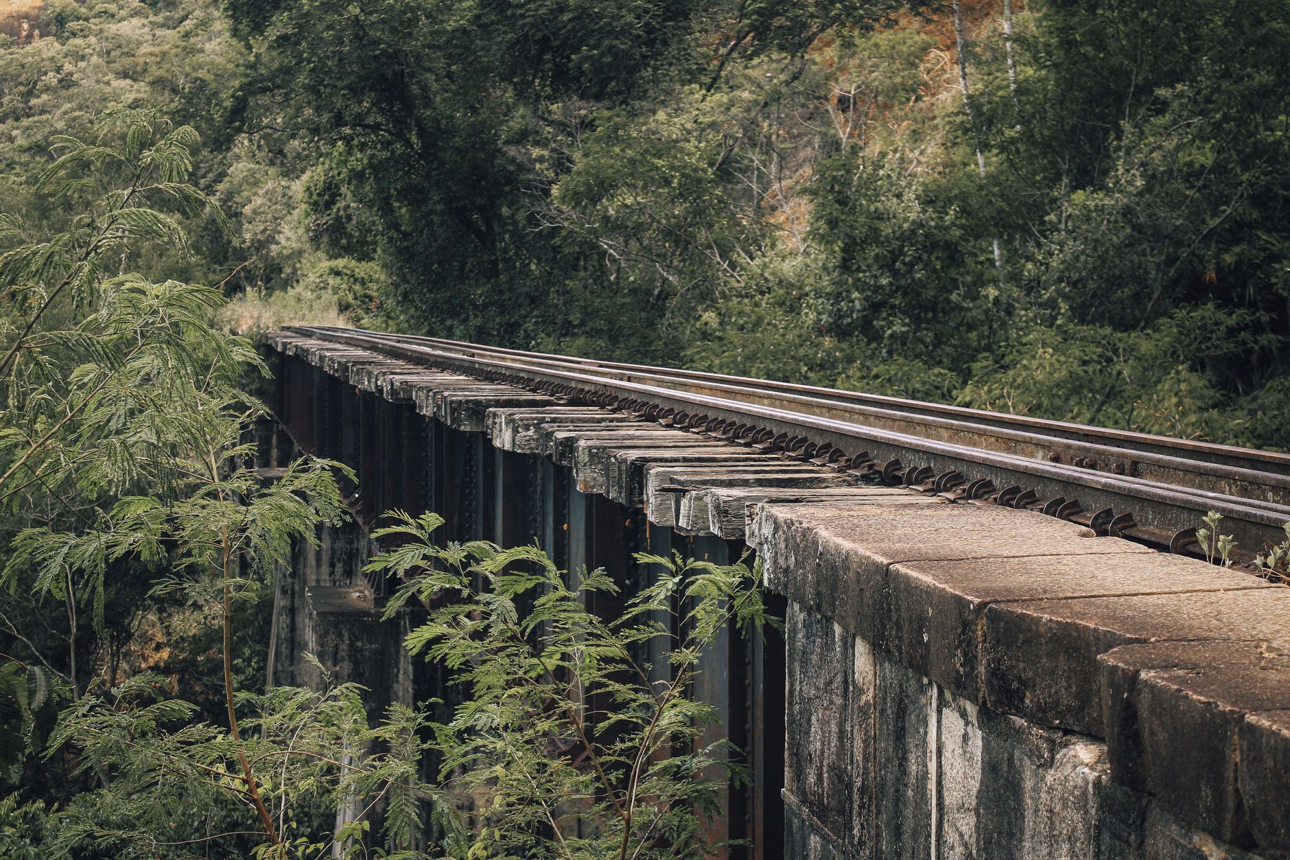 Stone railway viaduct surrounded by jungle and tea fields in Sri Lanka's Hill Country