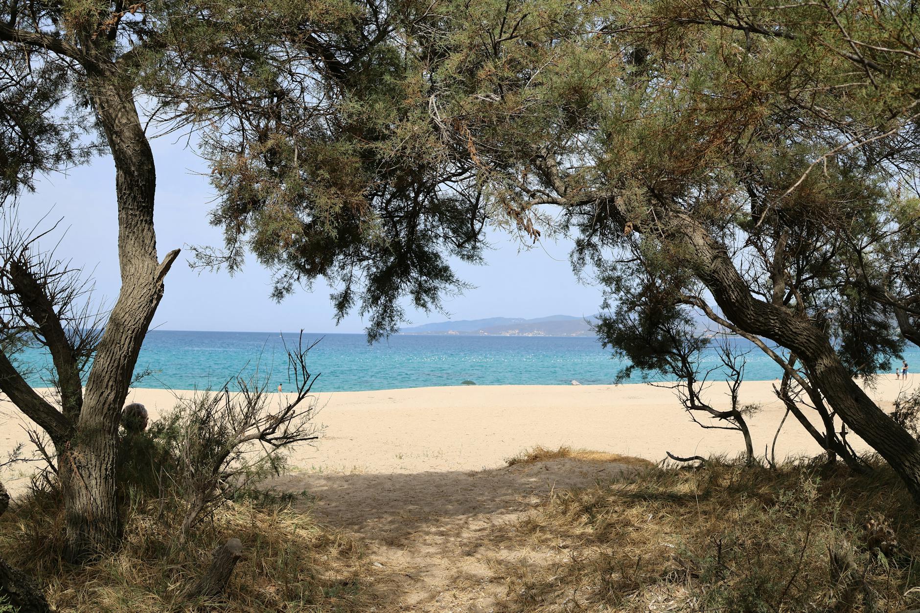 A wide, uncrowded sandy beach along the Mediterranean coast